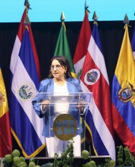 Dia 1 - INAUGURACION