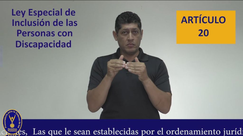 articulo 20 ley de inclusión de personas con discapacidad