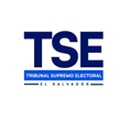 TSE